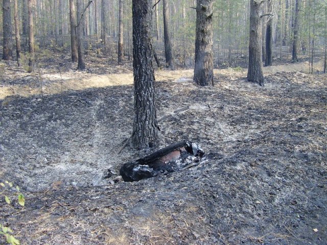 Заводчане на пожарах 2010 года